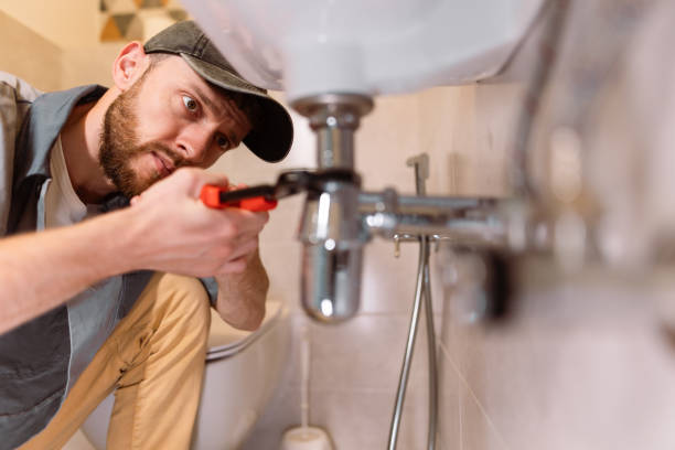 Best 24/7 Emergency Plumbing Services  in Ferndale, MI