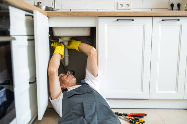 Best Garbage Disposal Repair and Installation  in Ferndale, MI