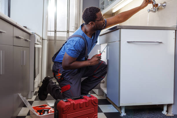 Best Residential Plumbing Services  in Ferndale, MI